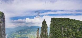 有仁伯,仁叔这个称呼吗?-分享与探讨的社区平台